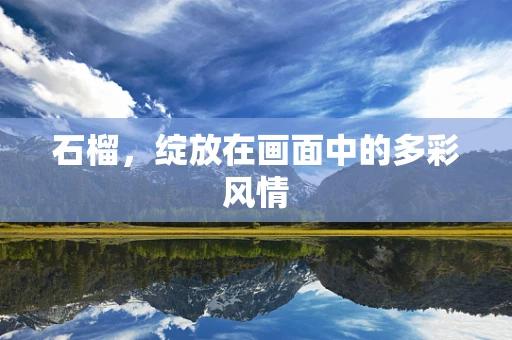 石榴，绽放在画面中的多彩风情