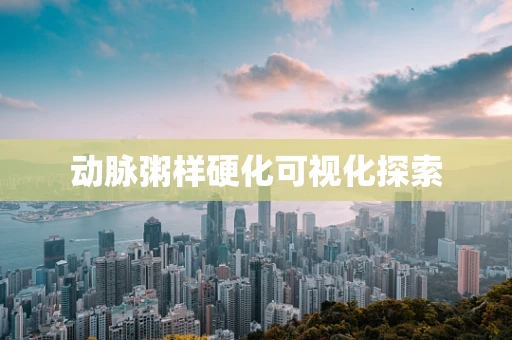 动脉粥样硬化可视化探索