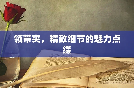 领带夹，精致细节的魅力点缀