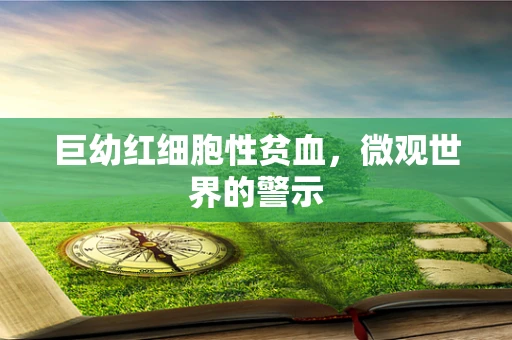 巨幼红细胞性贫血，微观世界的警示