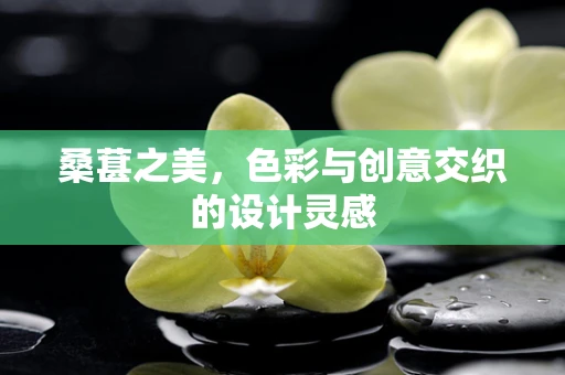 桑葚之美，色彩与创意交织的设计灵感