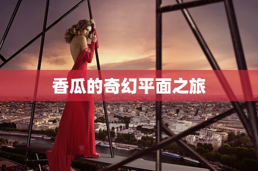 香瓜的奇幻平面之旅