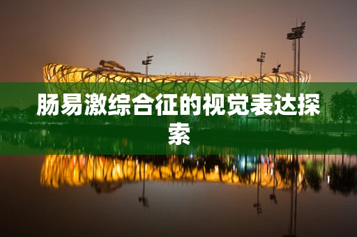 肠易激综合征的视觉表达探索