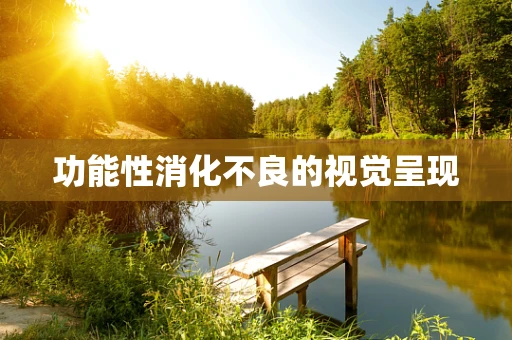 功能性消化不良的视觉呈现