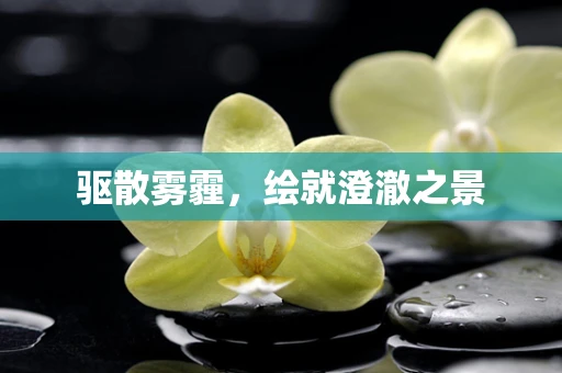 驱散雾霾，绘就澄澈之景