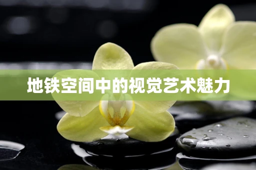 地铁空间中的视觉艺术魅力