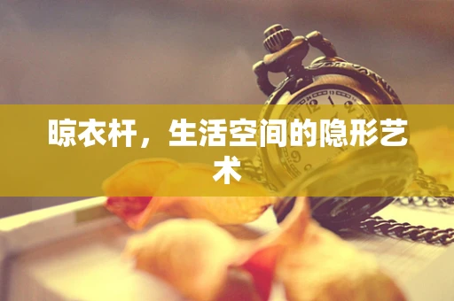 晾衣杆，生活空间的隐形艺术