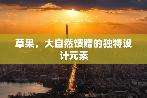 草果，大自然馈赠的独特设计元素