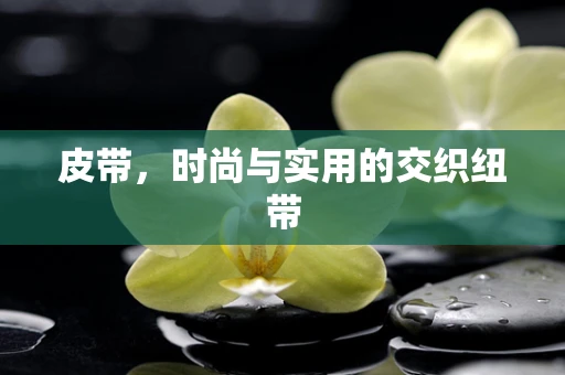 皮带，时尚与实用的交织纽带