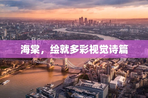 海棠，绘就多彩视觉诗篇