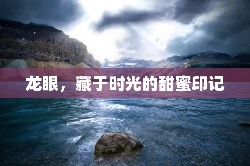龙眼，藏于时光的甜蜜印记