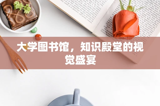 大学图书馆，知识殿堂的视觉盛宴