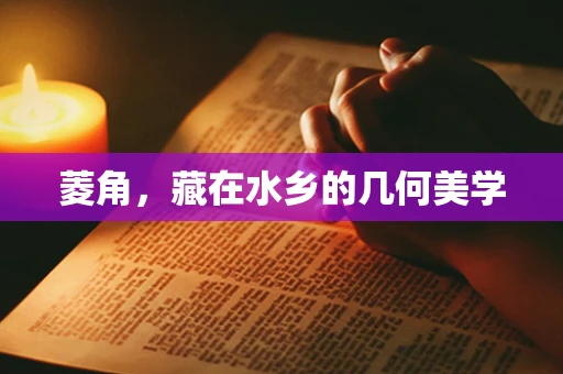 菱角，藏在水乡的几何美学
