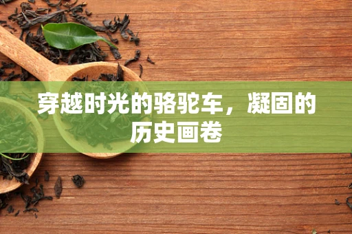 穿越时光的骆驼车，凝固的历史画卷