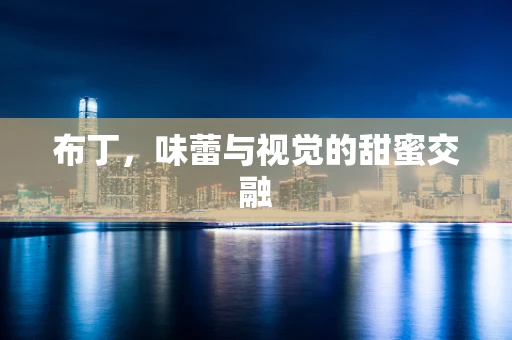 布丁，味蕾与视觉的甜蜜交融