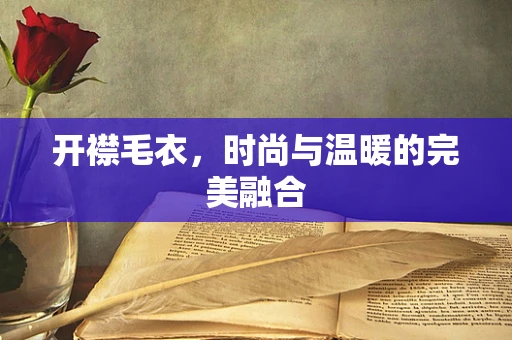 开襟毛衣，时尚与温暖的完美融合
