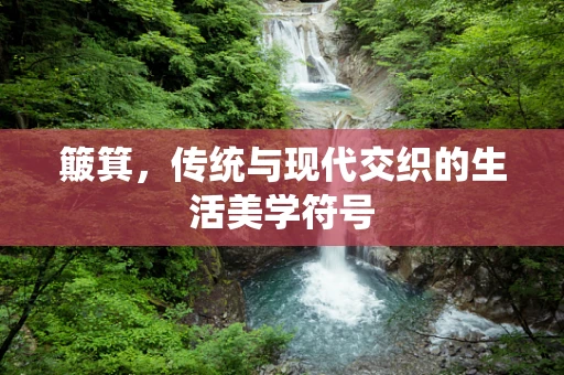 簸箕，传统与现代交织的生活美学符号