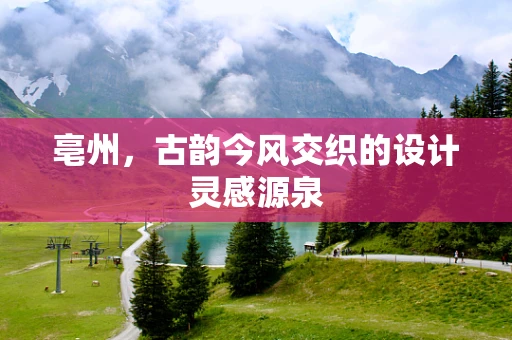 亳州，古韵今风交织的设计灵感源泉