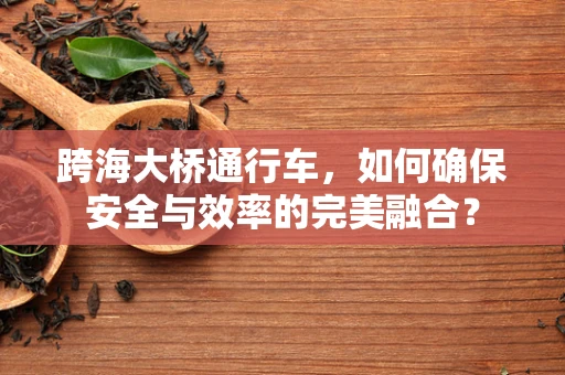 跨海大桥通行车，如何确保安全与效率的完美融合？