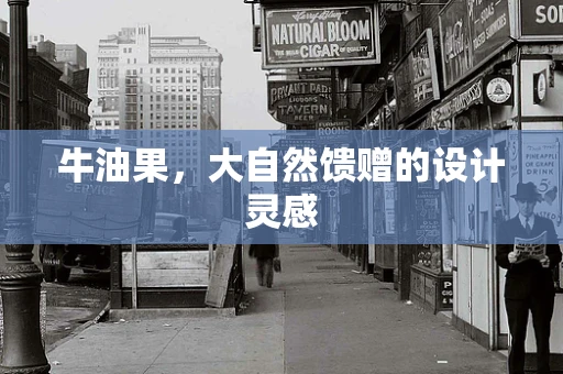牛油果，大自然馈赠的设计灵感
