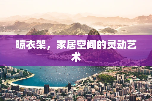 晾衣架，家居空间的灵动艺术
