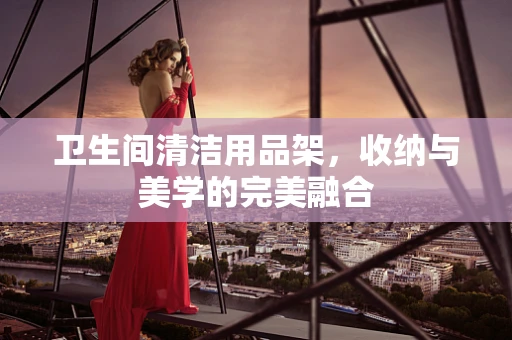 卫生间清洁用品架，收纳与美学的完美融合