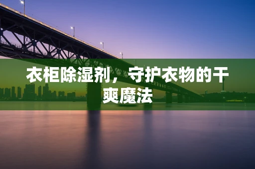 衣柜除湿剂，守护衣物的干爽魔法