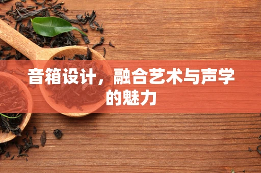 音箱设计，融合艺术与声学的魅力