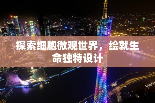 探索细胞微观世界，绘就生命独特设计