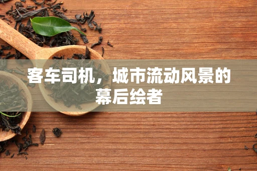 客车司机，城市流动风景的幕后绘者