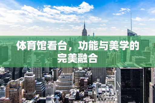 体育馆看台，功能与美学的完美融合