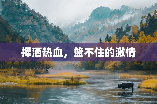 挥洒热血，篮不住的激情