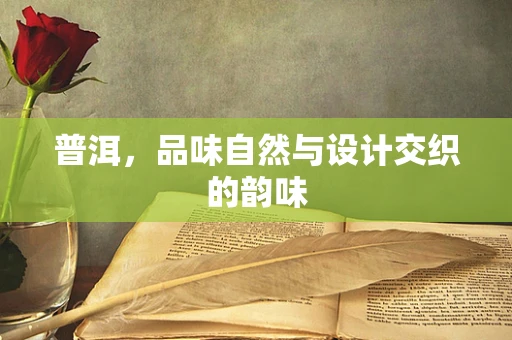 普洱，品味自然与设计交织的韵味