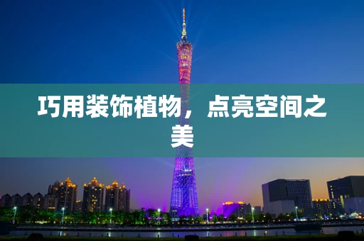 巧用装饰植物，点亮空间之美
