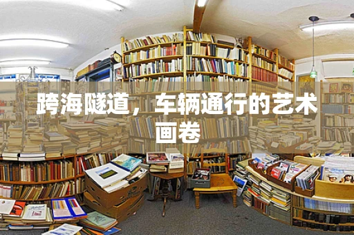 跨海隧道，车辆通行的艺术画卷