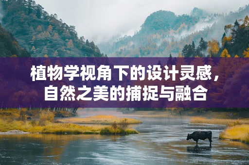 植物学视角下的设计灵感，自然之美的捕捉与融合