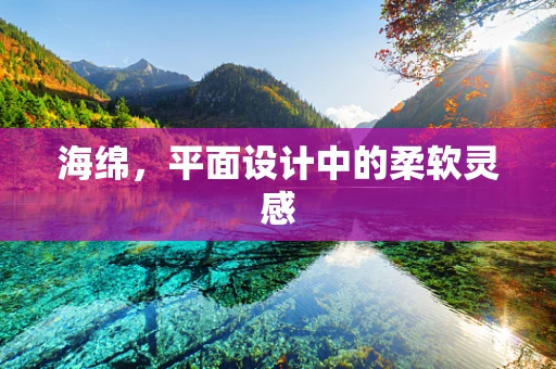 海绵，平面设计中的柔软灵感