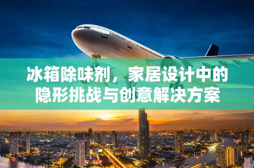 冰箱除味剂，家居设计中的隐形挑战与创意解决方案