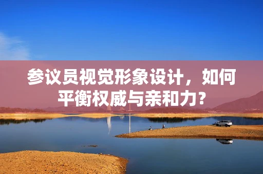 参议员视觉形象设计，如何平衡权威与亲和力？