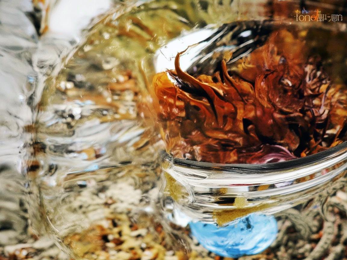 秋分时节，色彩与线条交织的诗意之美